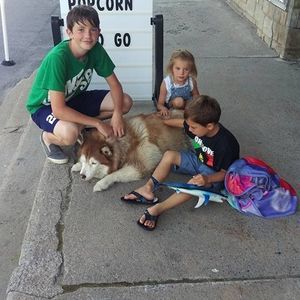 Meet your Posher, Dylan